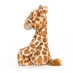 Bashful Giraffe