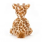 Bashful Giraffe
