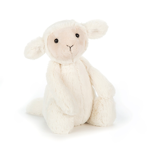 Bashful Lamb