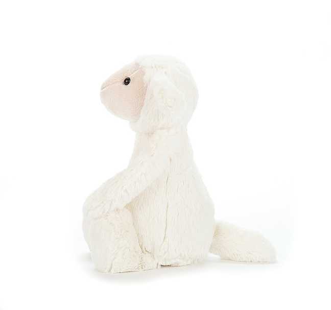 Bashful Lamb