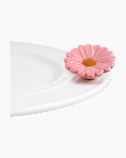 mini Gerber Daisy