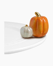 Load image into Gallery viewer, Mini Pumpkin
