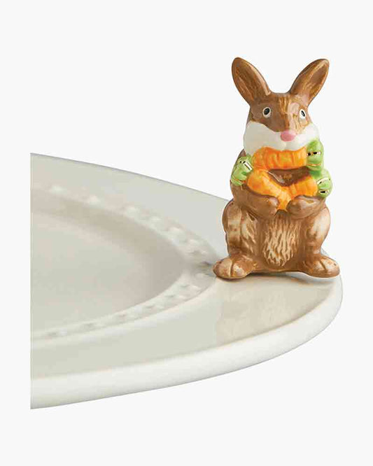 mini Bunny