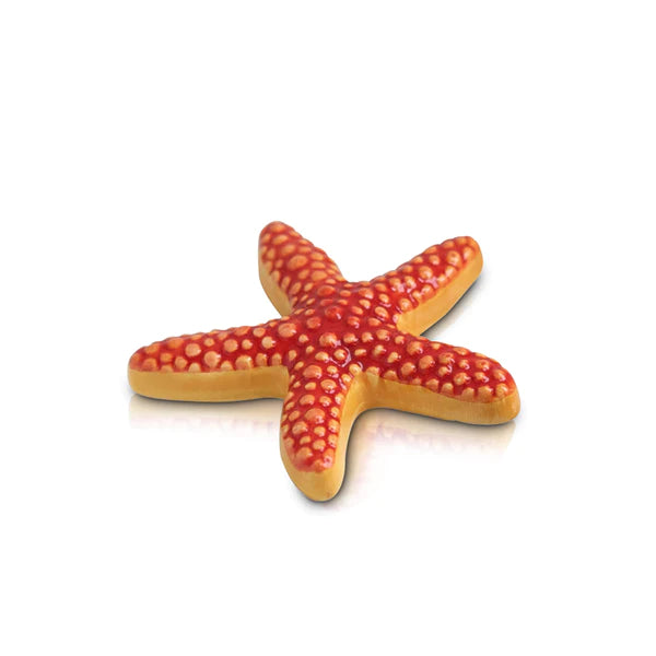 Mini Sea Star