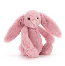 Load image into Gallery viewer, Bashful Bunny (Multiple Colors)
