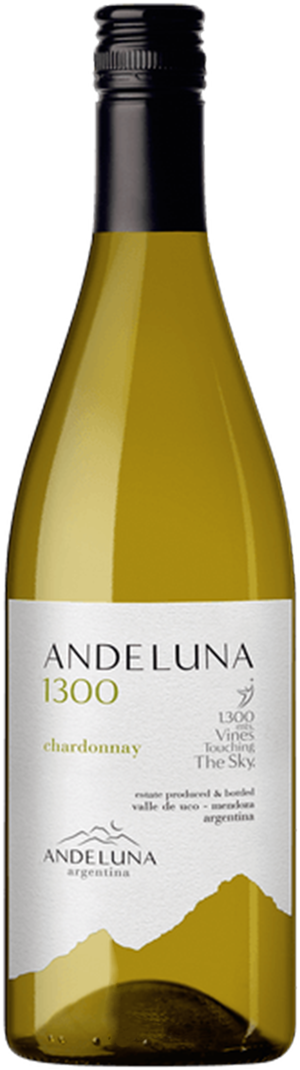 Andeluna 1300 Chardonnay 2019